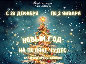 НОВЫЙ ГОД НА ПОЛЯНЕ ЧУДЕС